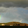 Colors of Countryside